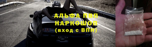 дмт Алзамай