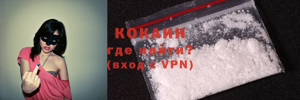 прущие грибы Абинск