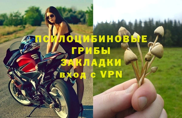 тгк Алексеевка