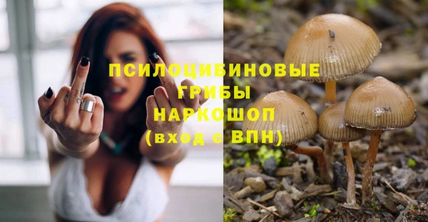 меф Алексин