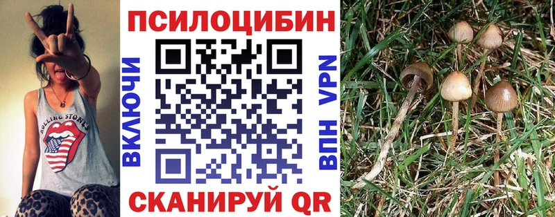 Псилоцибиновые грибы мицелий  блэк спрут как войти  Ростов-на-Дону 
