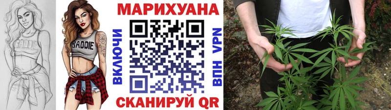 что такое наркотик  Ростов-на-Дону  Шишки марихуана сатива 